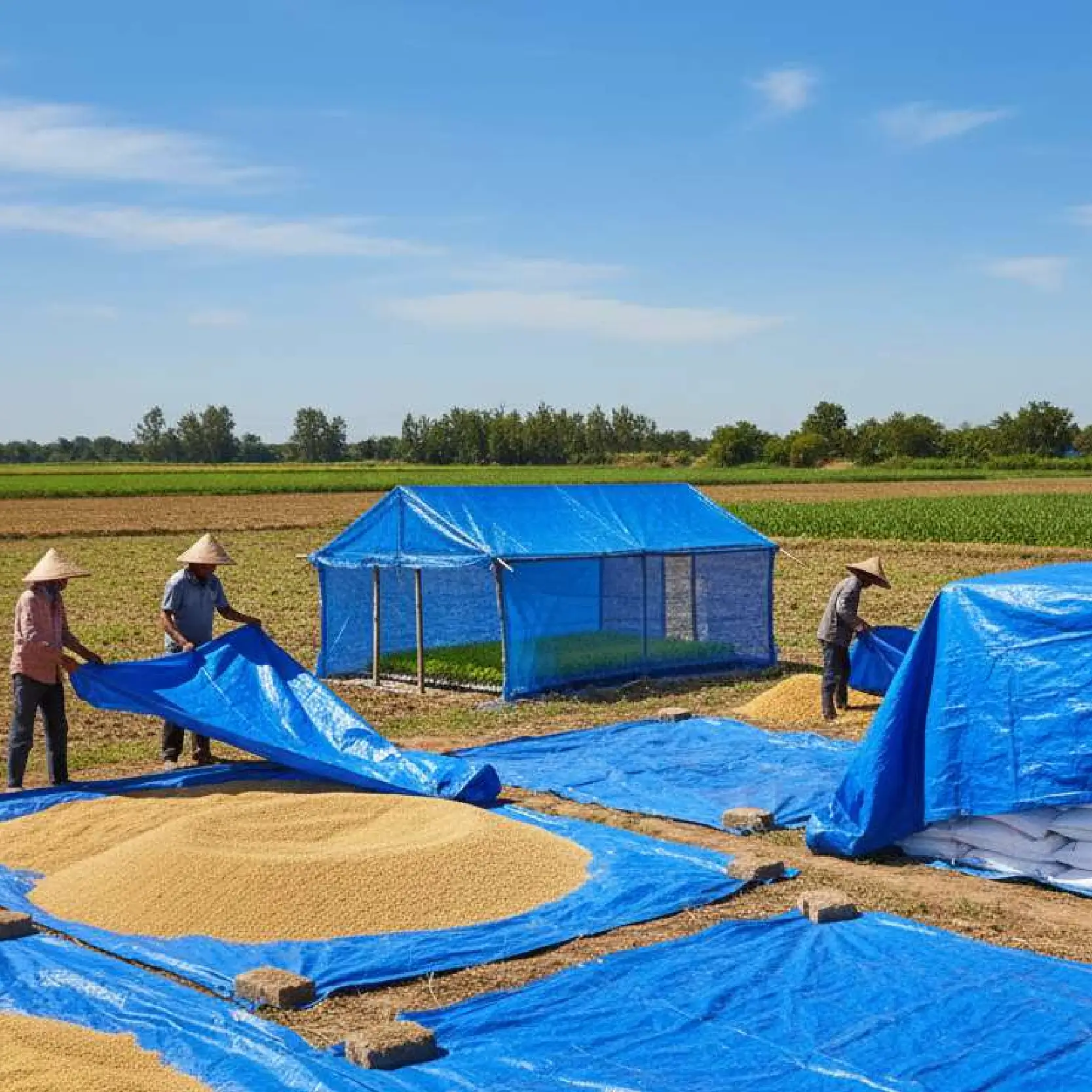 tarpaulins for agricultural uses