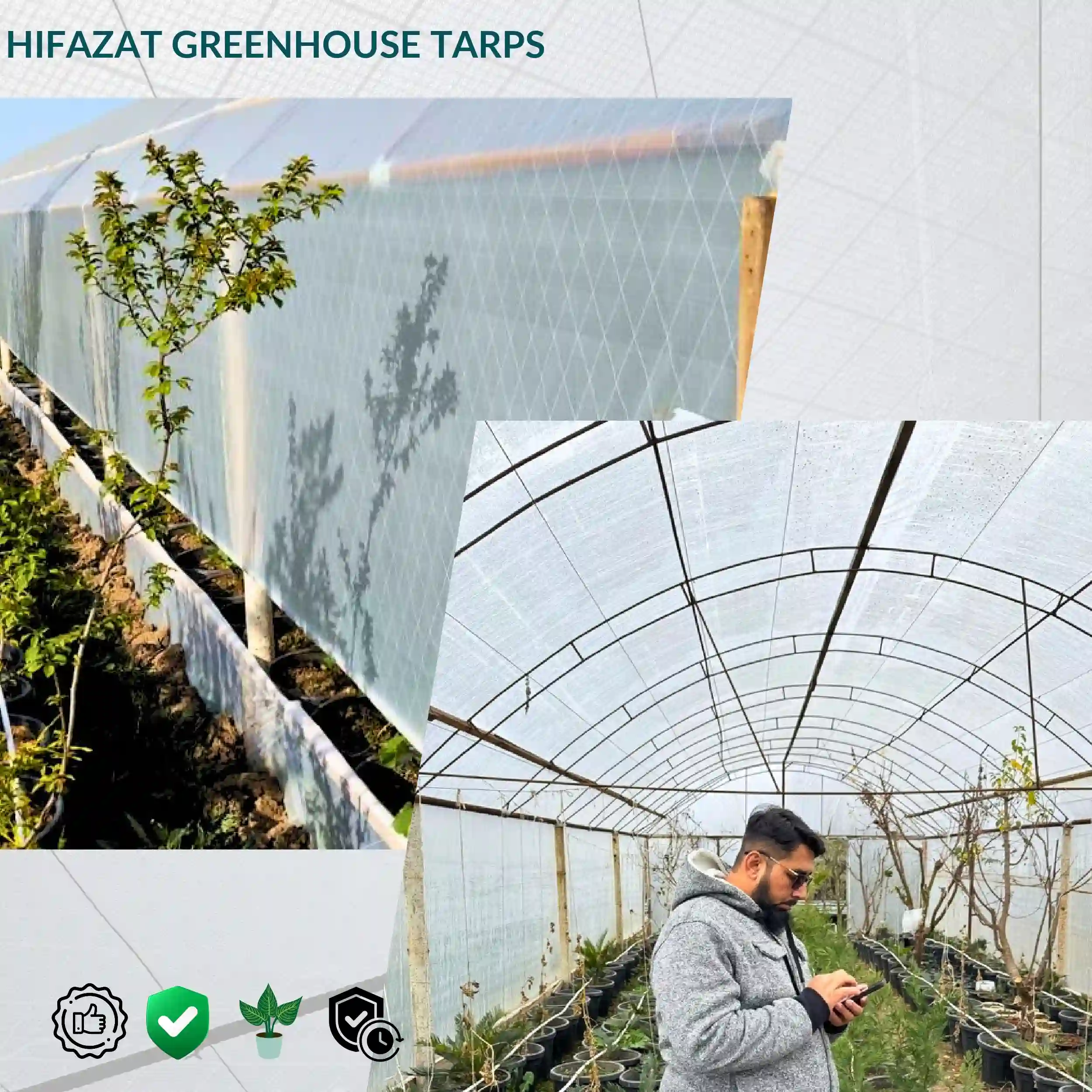 showcasing arranged greenhouse with transparent tarpaulins